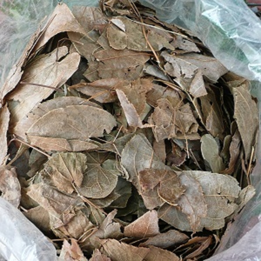 Lá dâm dương hoắc